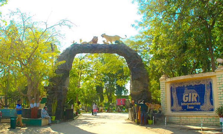 Gir National Park, Gujarat, India